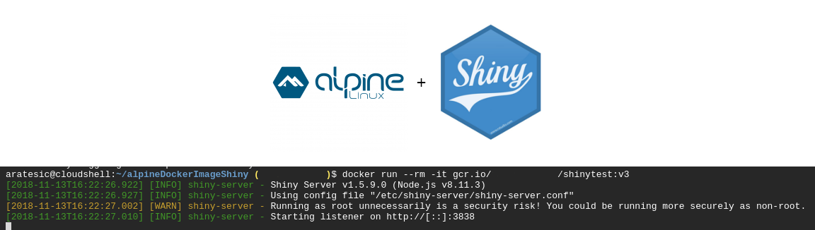 Shiny Alpine Docker Run